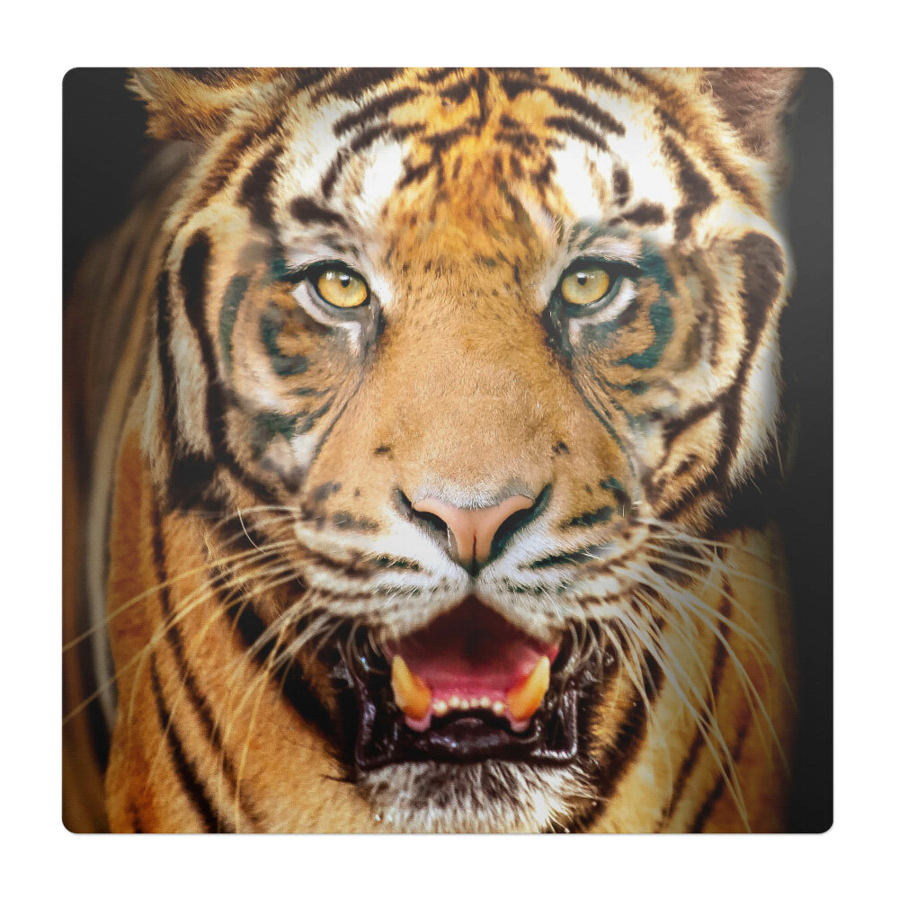 Podkładka pod krzesło Tygrys - zbliżenie pyska