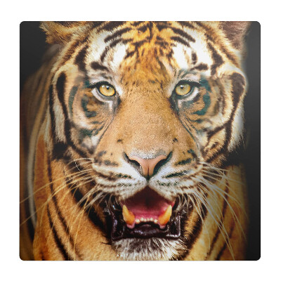 Podkładka pod krzesło Tygrys - zbliżenie pyska