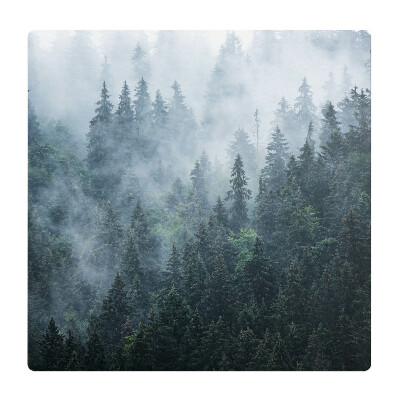 Mata pod fotel biurowy Mglisty las iglasty