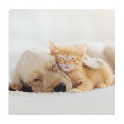 Mata pod fotel ochrona paneli Słodki sen zwierząt