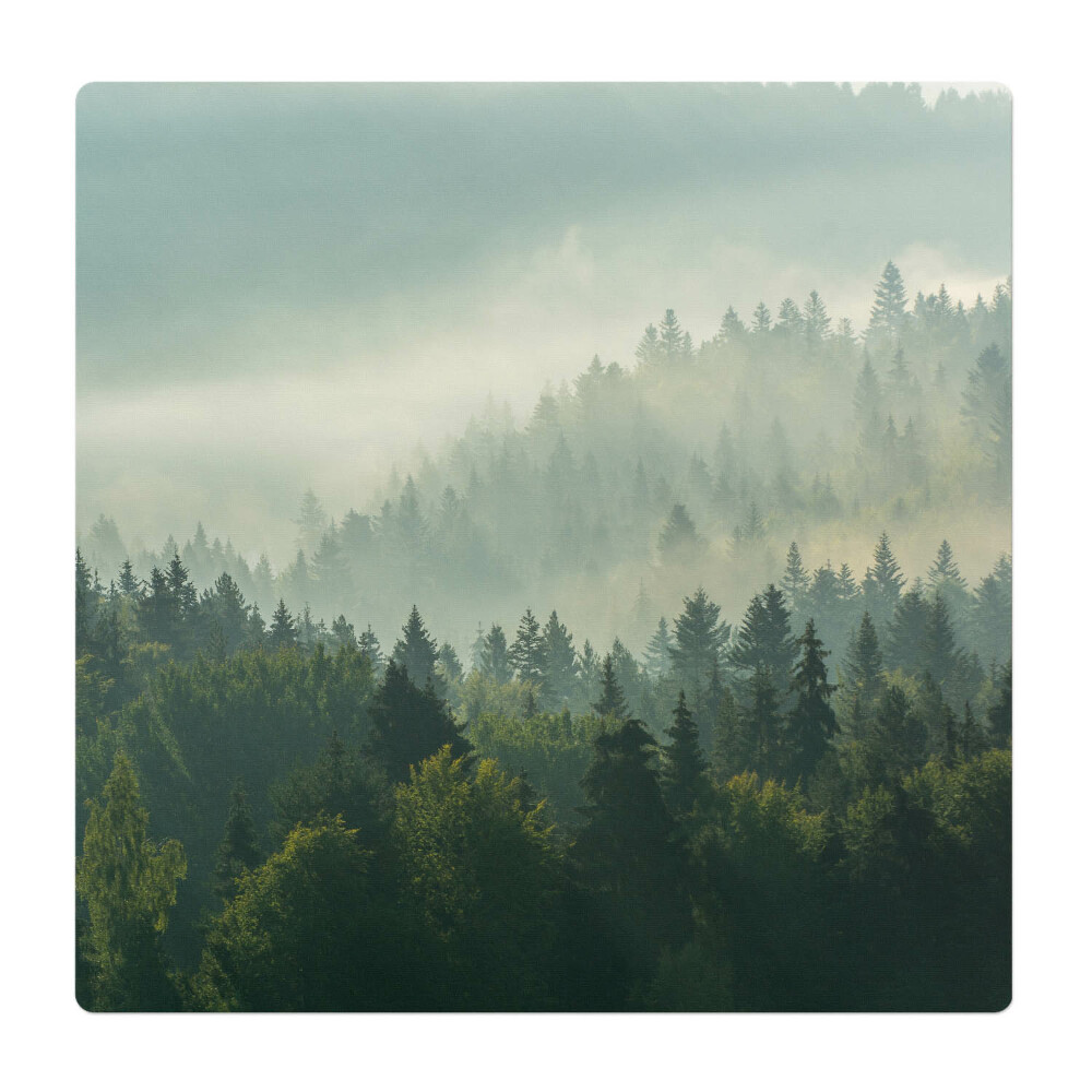 Mata pod fotel biurowy Mglisty las o świcie