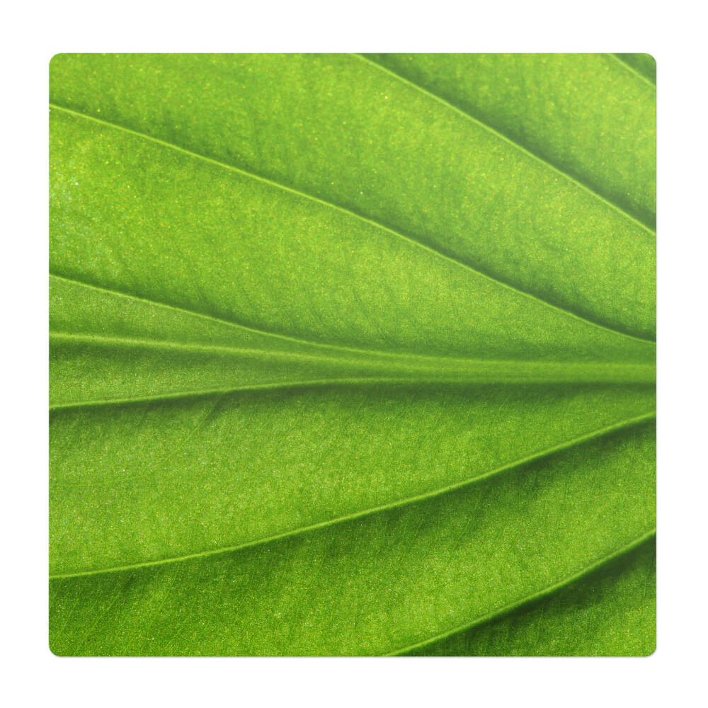 Mata na podłogę pod krzesło Liść z bliska