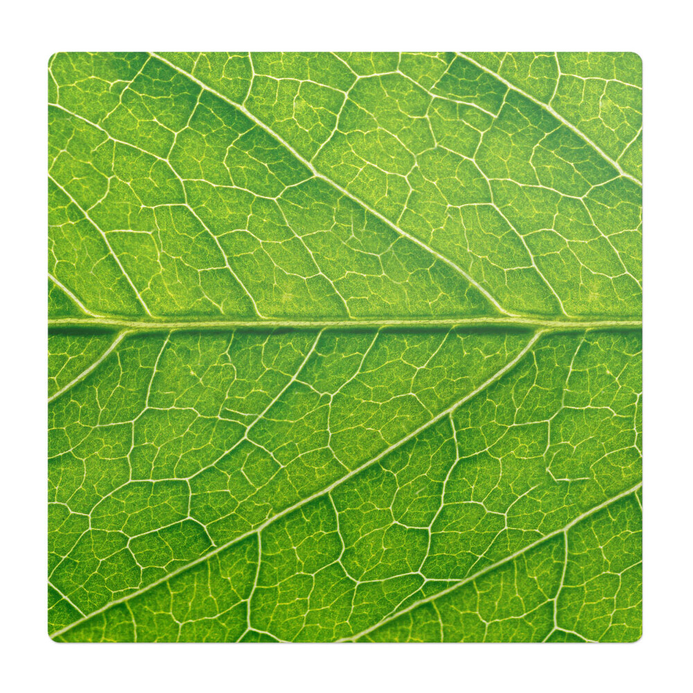 Podkładka pod fotel Liść w zbliżeniu