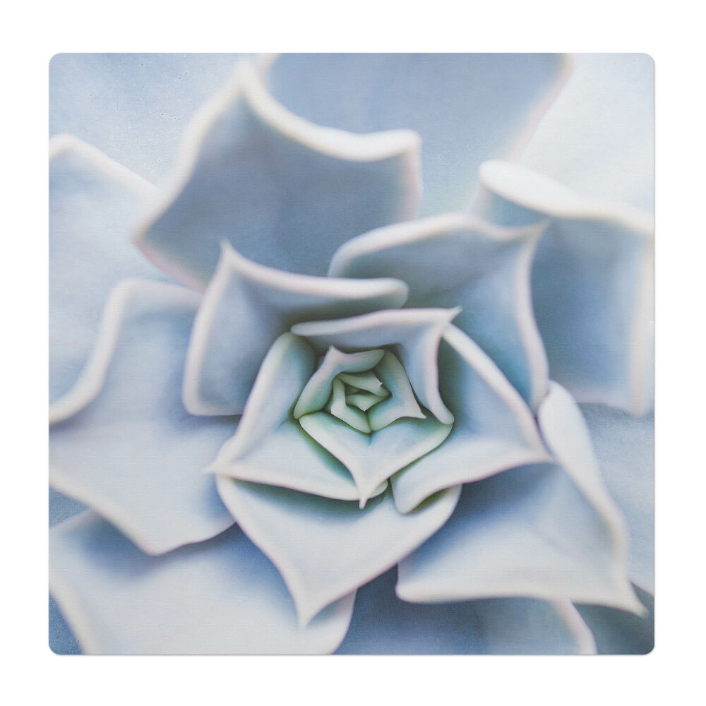 Mata pod fotel biurowy Sukulenty spiralne