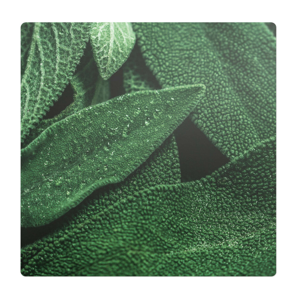 Podkładka pod krzesło obrotowe Liście z bliska