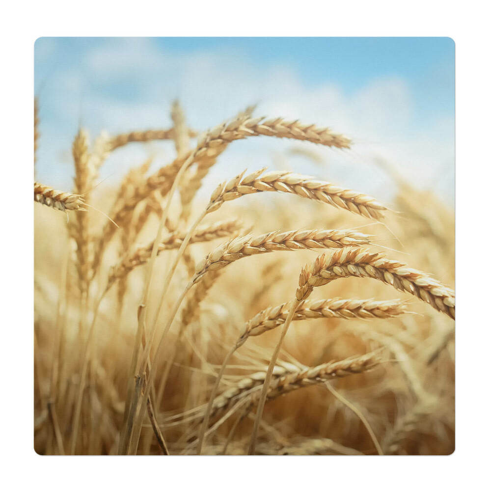 Mata pod fotel ochrona paneli Kłosy w polu