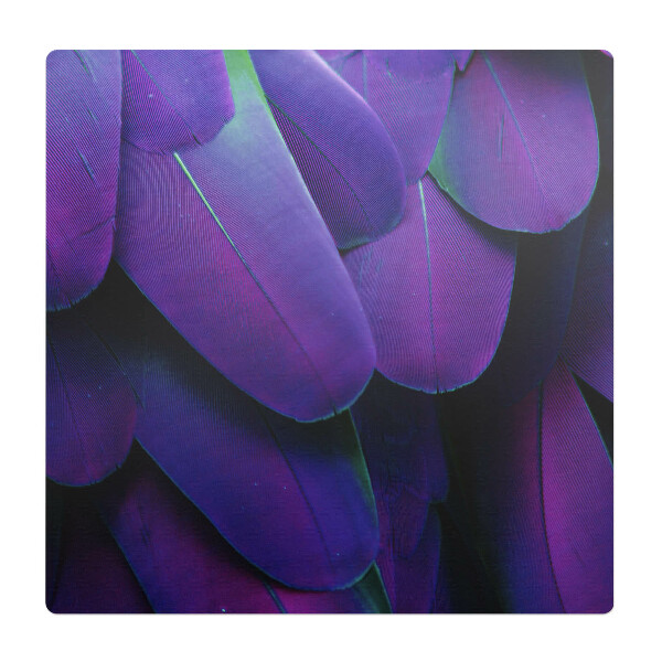 Mata na podłogę pod krzesło Pióra w odcieniach