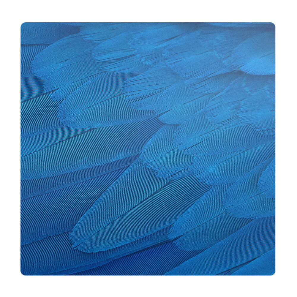 Mata pod krzesło do biura Pióra ptaka z bliska