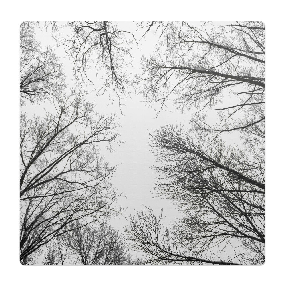 Podkładka pod krzesło obrotowe Nagie gałęzie drzew