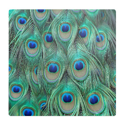 Mata ochronna pod fotel Pawie pióra wzór