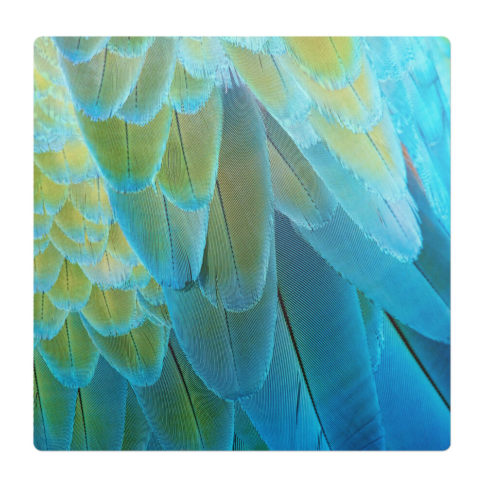 Mata pod fotel biurowy Pióra ptaka z bliska