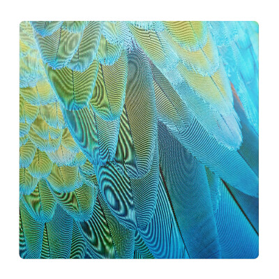 Mata pod fotel biurowy Pióra ptaka z bliska