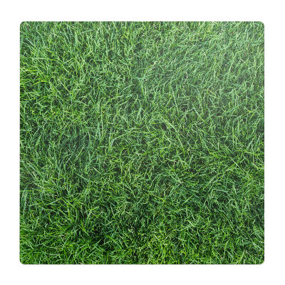 Podkładka pod krzesło Soczysta trawa