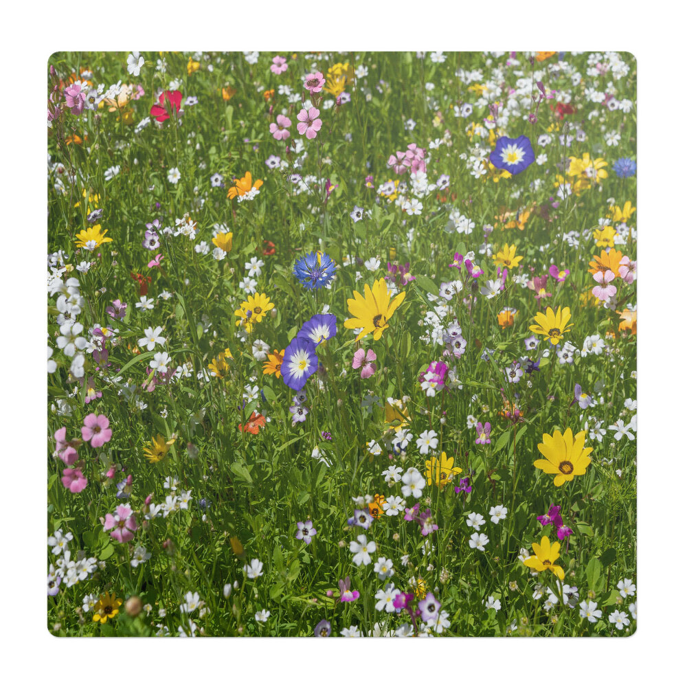 Podkładka pod krzesło obrotowe Kwiecista łąka