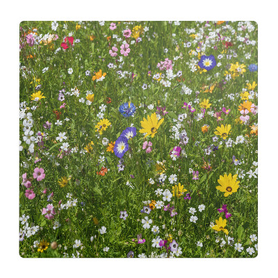 Podkładka pod krzesło obrotowe Kwiecista łąka