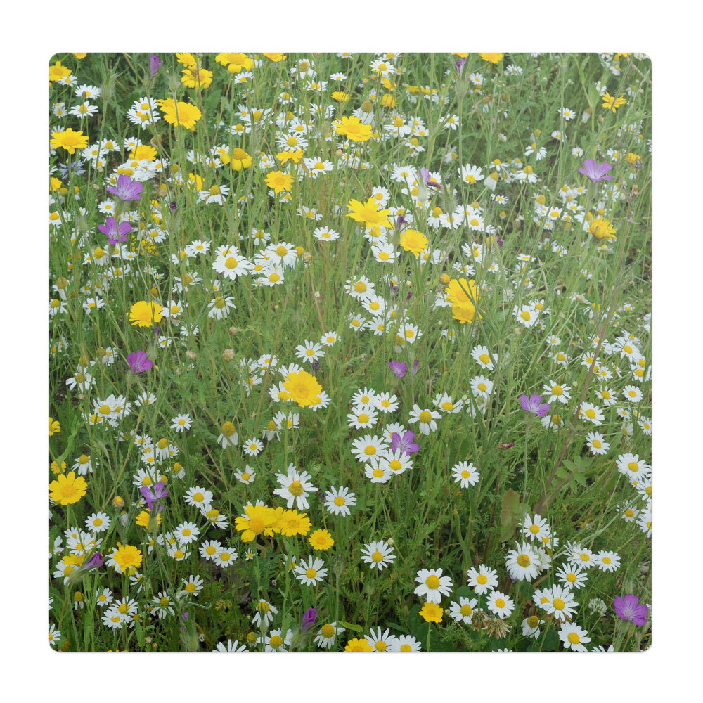 Mata na podłogę pod krzesło Kwiecista łąka