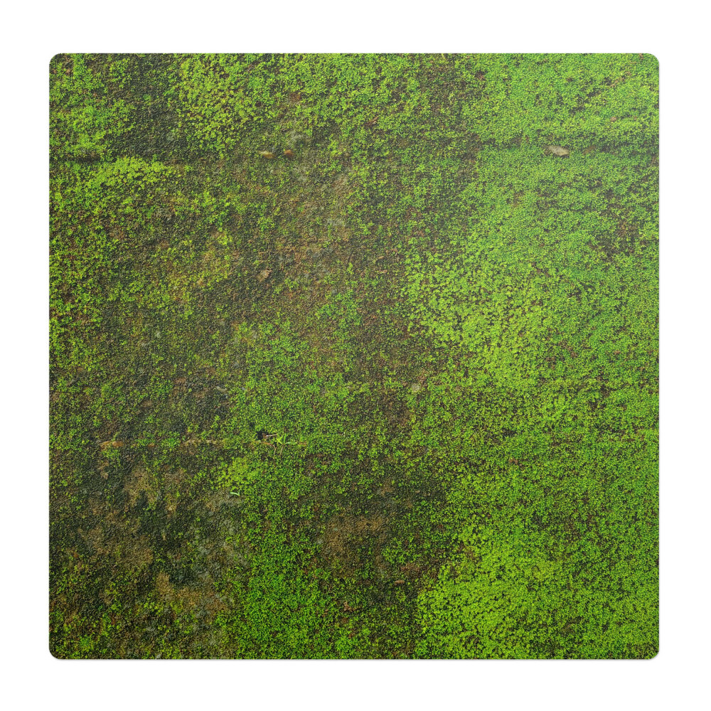 Podkładka pod fotel Mech na powierzchni