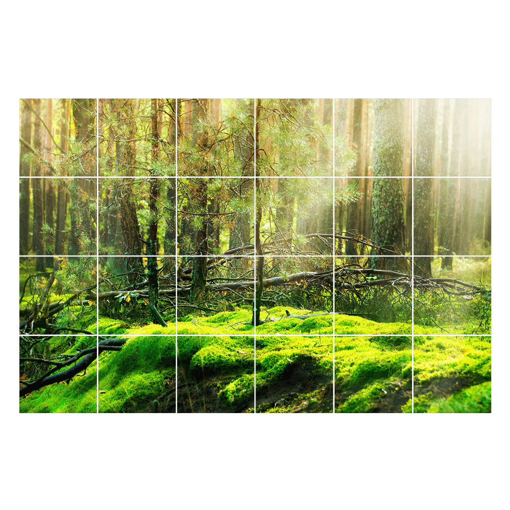 Naklejki na kafelki Zielony las z mchem