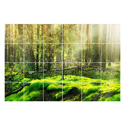 Naklejki na kafelki Zielony las z mchem