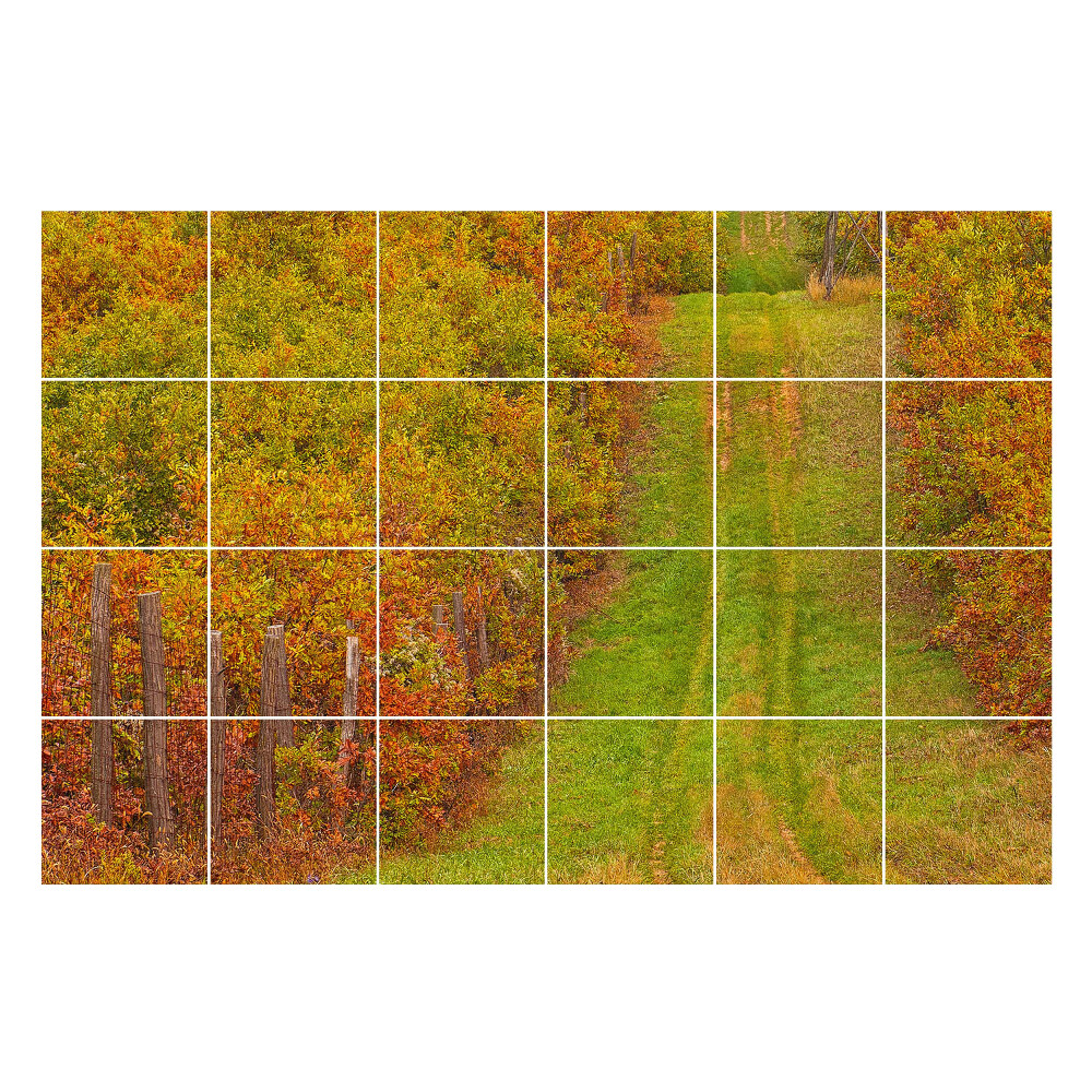 Naklejki na płytki Jesienny szlak w naturze