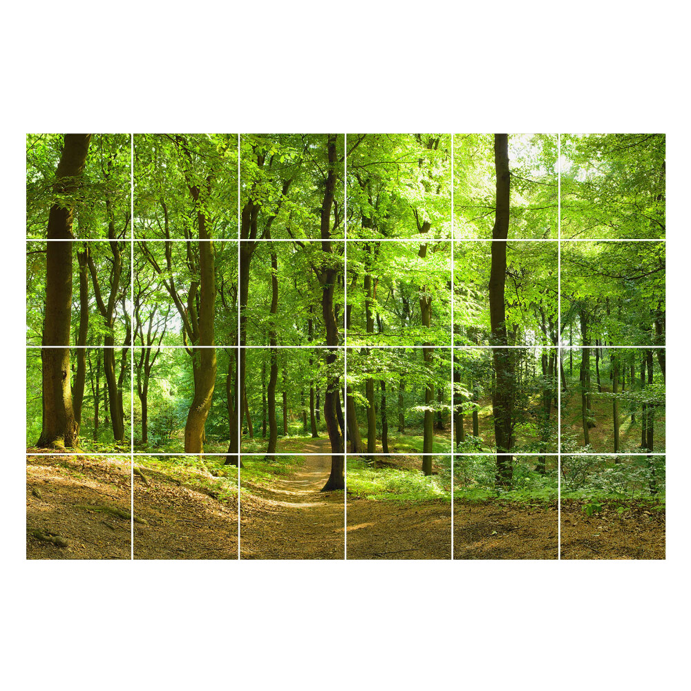 Naklejki na płytki Zielony las z alejką