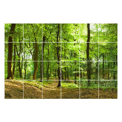 Naklejki na płytki Zielony las z alejką