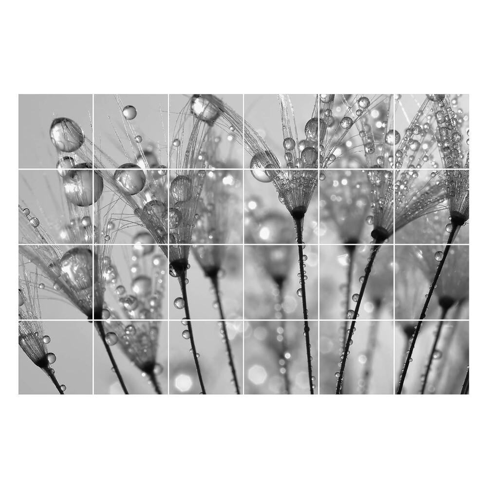 Nalepki na kafelki Krople na delikatnych łodygach