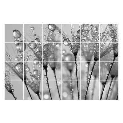 Nalepki na kafelki Krople na delikatnych łodygach