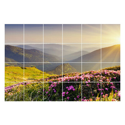 Naklejki na kafelki Krajobraz górski z kwiatami