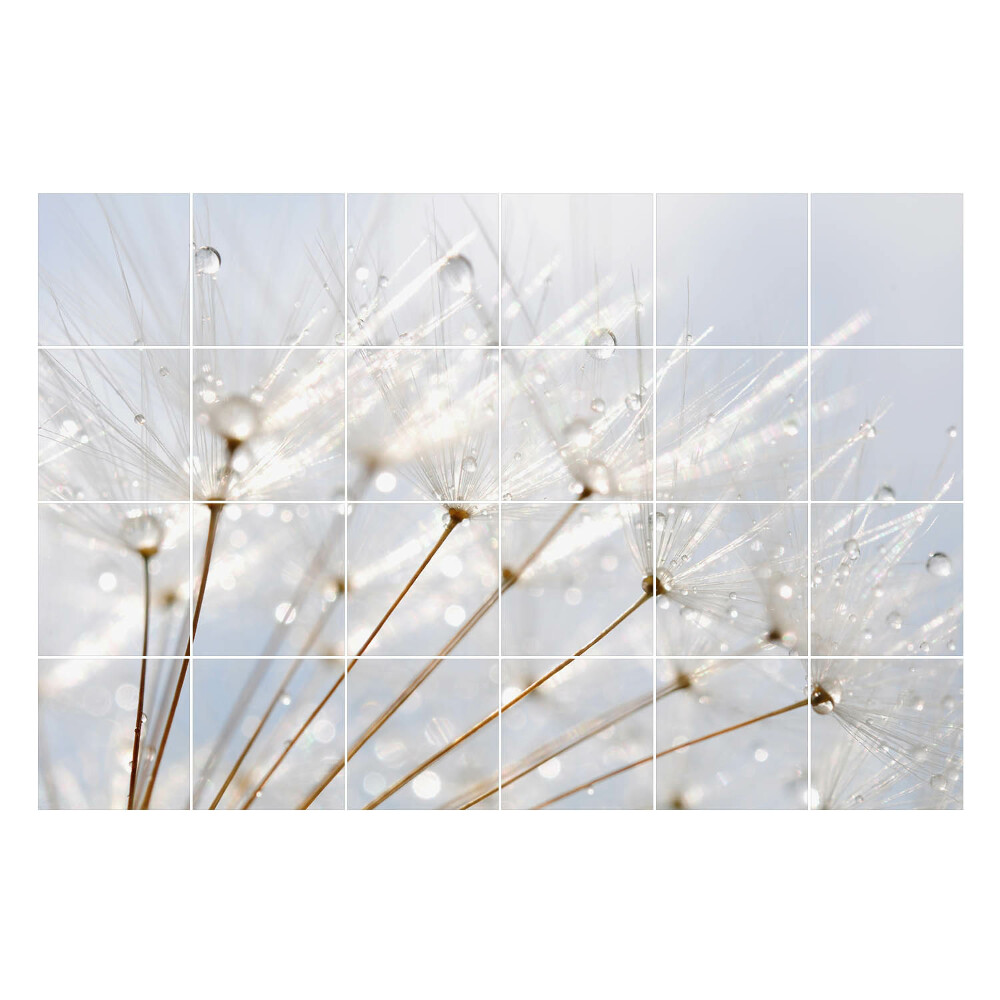 Nalepki na kafelki Krople na puchu dmuchawca