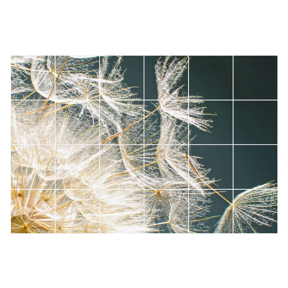 Naklejki na kafelki Delikatne nasiona dmuchawca