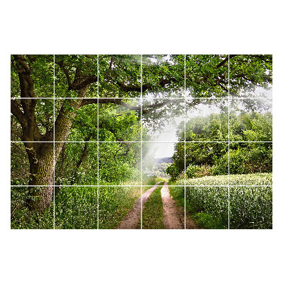 Naklejki na płytki Zielona ścieżka w lesie