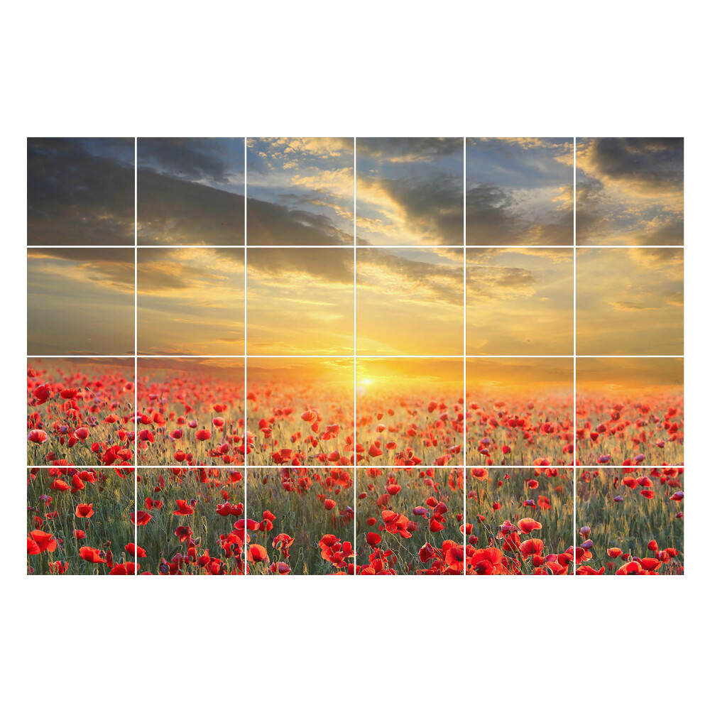 Nalepki na kafelki Kwiatowy krajobraz o zachodzie