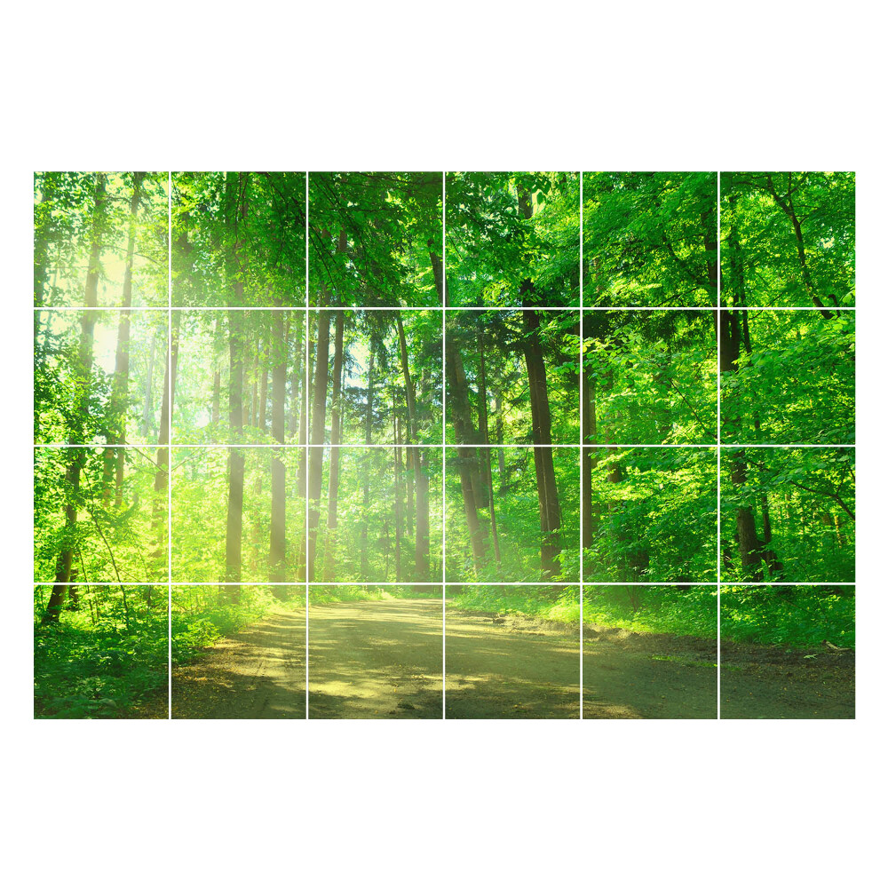 Naklejki na kafelki Leśna ścieżka w promieniach