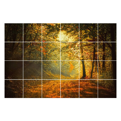 Naklejki na płytki Jesienny leśny krajobraz