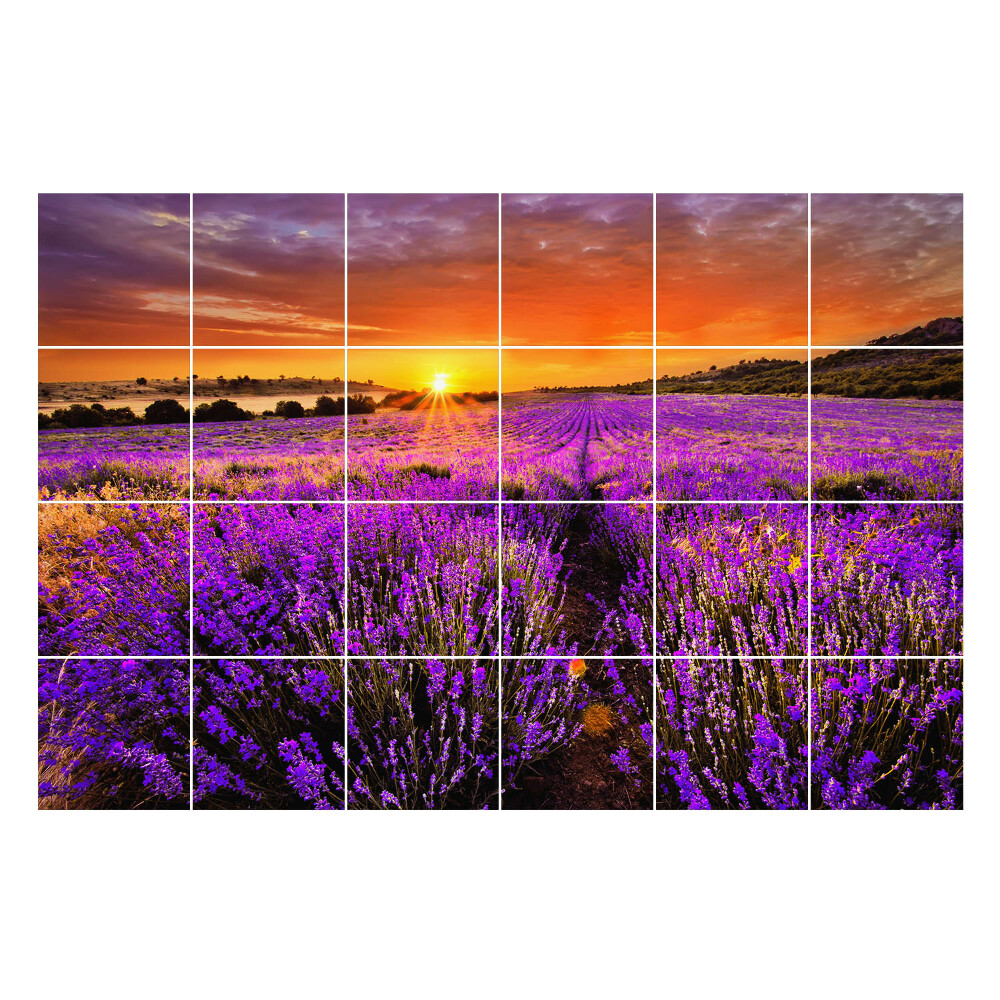 Nalepki na kafelki Kwiatowy krajobraz o zachodzie