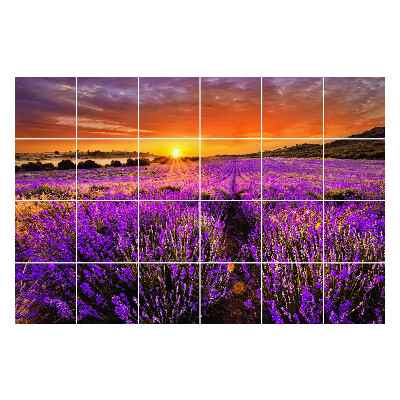 Nalepki na kafelki Kwiatowy krajobraz o zachodzie