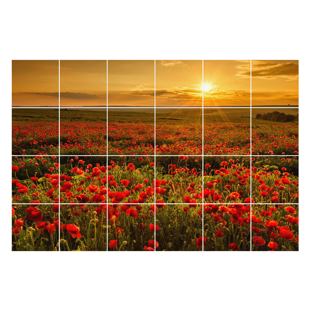 Naklejki na płytki Kwiatowa łąka o zachodzie