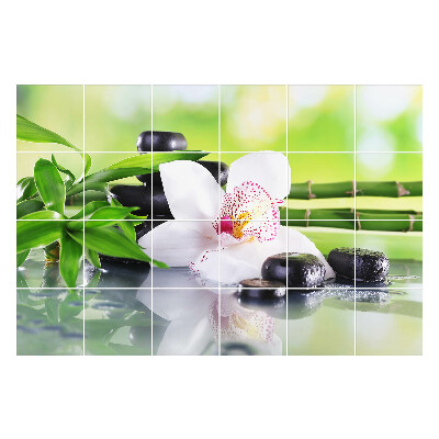 Naklejki na kafelki Kwiaty i kamienie w harmonii