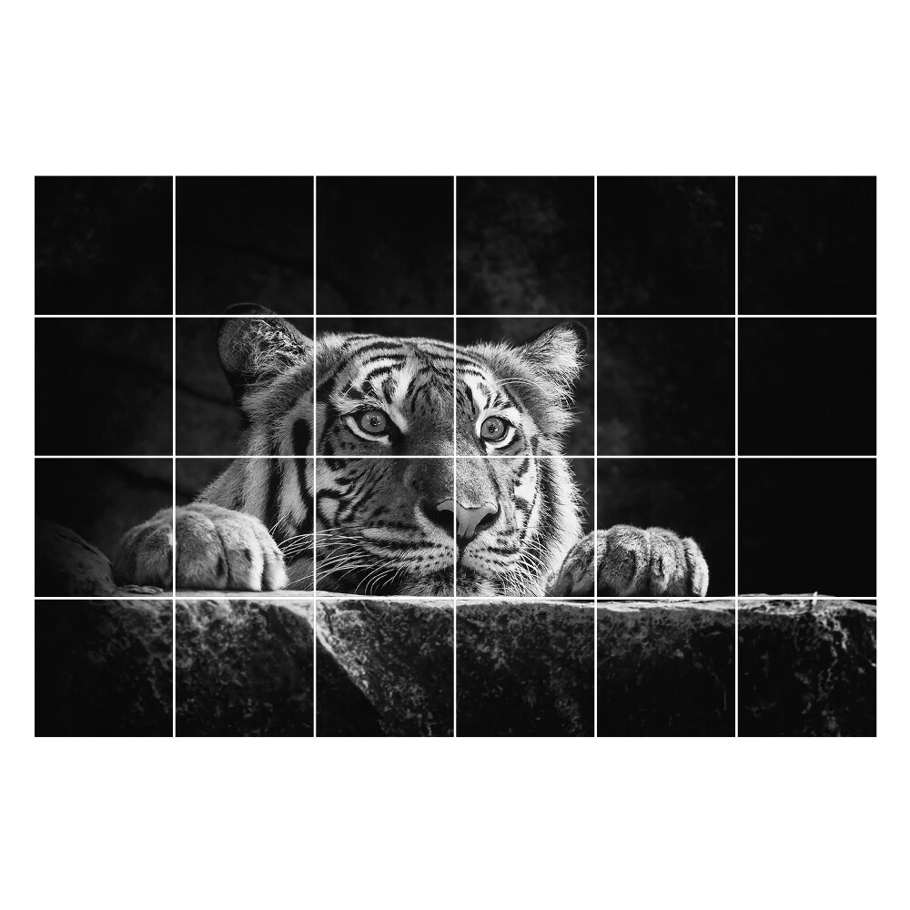 Naklejki na płytki Tygrys w zbliżeniu