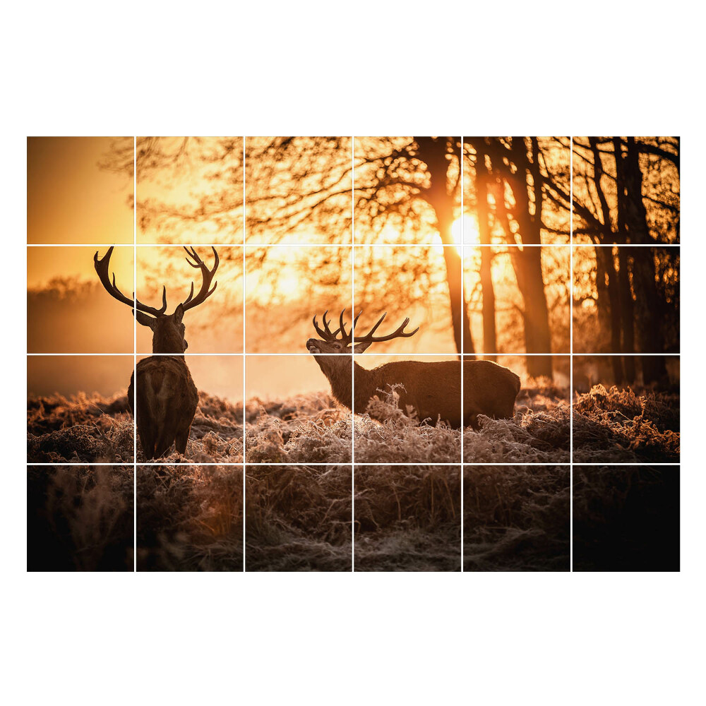 Naklejki na kafelki Jelenie w porannej mgle