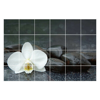 Naklejki na płytki Kwiat na kamieniach wodnych