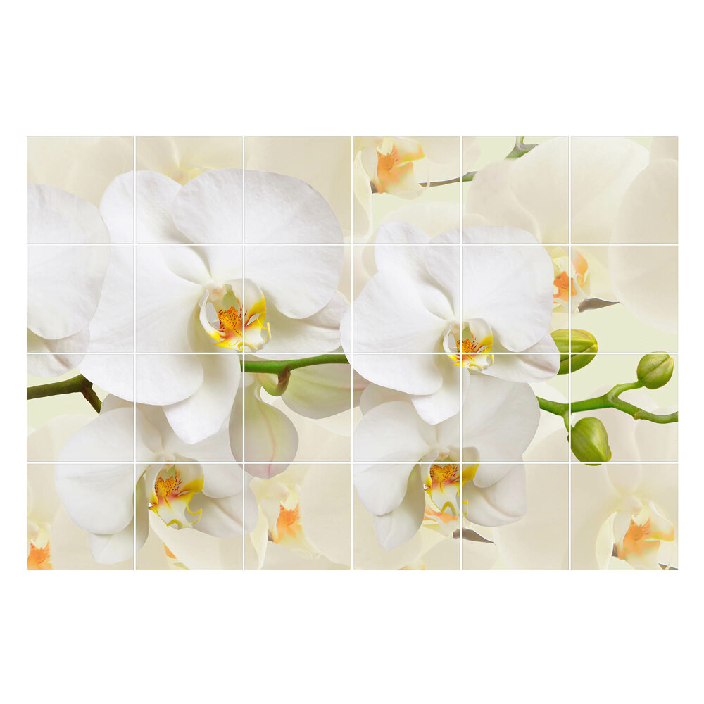 Naklejki na kafelki Kwiatowe motywy orchidei