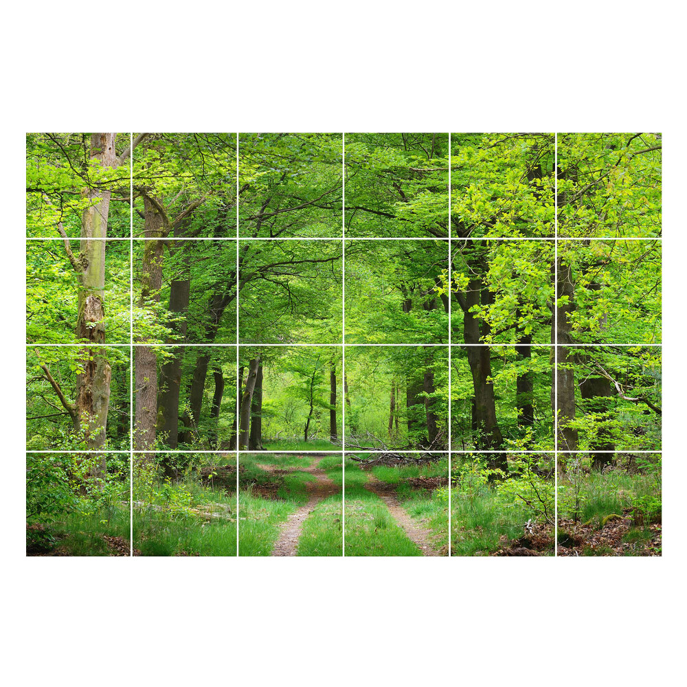 Naklejki na kafelki Leśna ścieżka w naturze