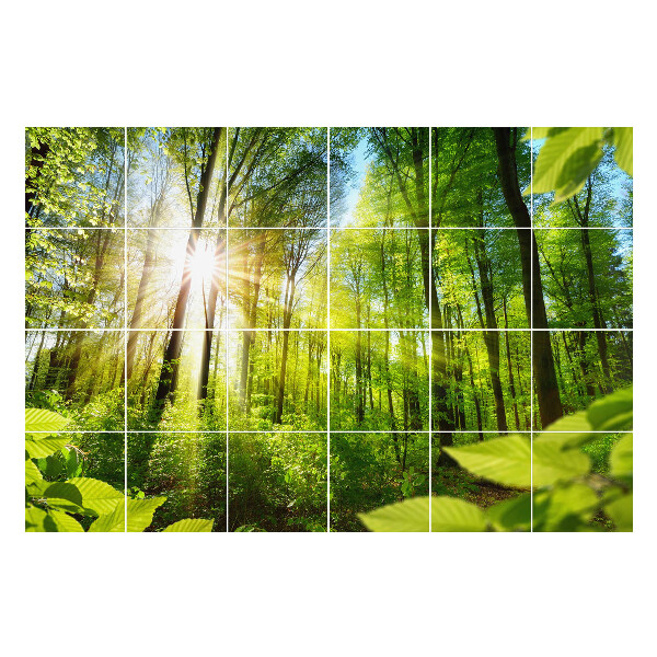 Naklejki na płytki Promienie słońca w lesie