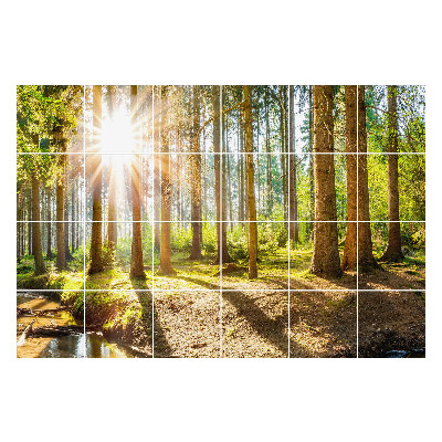 Nalepki na kafelki Leśna sceneria z promieniami