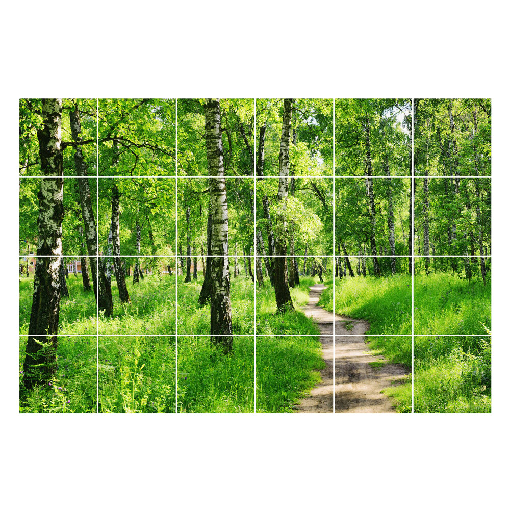 Naklejki na kafelki Leśna ścieżka w naturze