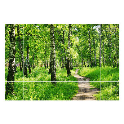 Naklejki na kafelki Leśna ścieżka w naturze