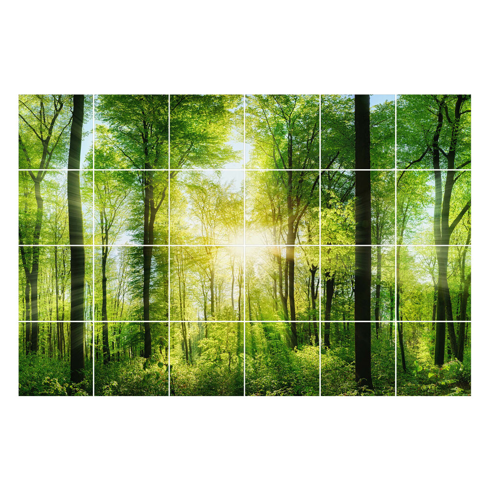 Nalepki na kafelki Zielony las z promieniami