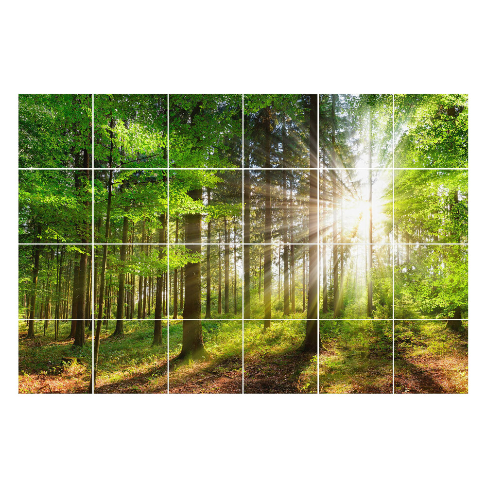 Nalepki na kafelki Promienie słońca w lesie